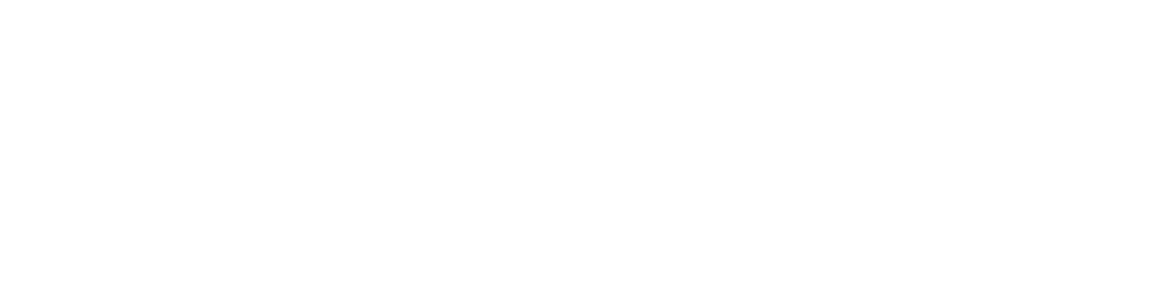 logo blorion2